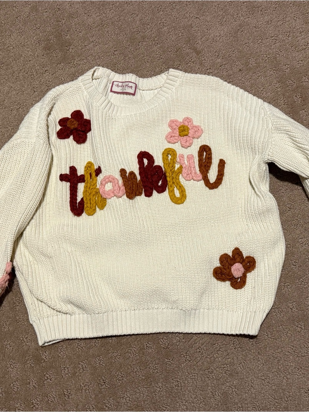 Cheeky Plum Cream Knit Sweater with Multicolor Floral Appliqués - Thankful